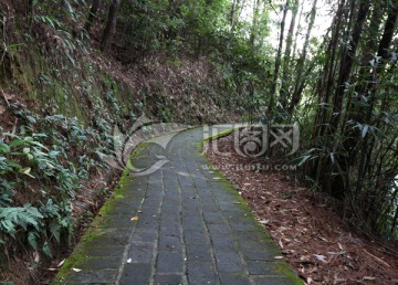 山间小路