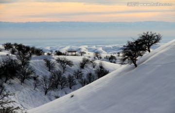 冬季雪景