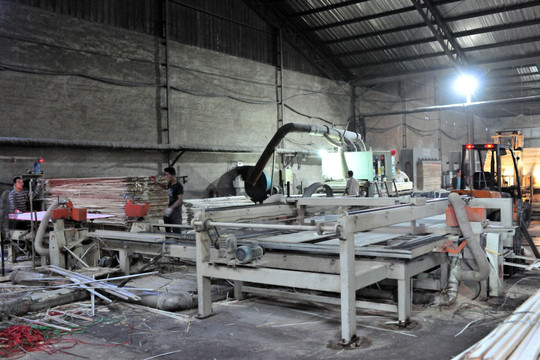 木材厂  木材加工