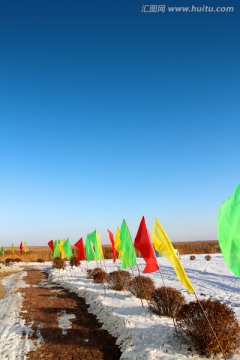 湿地 芦苇 冬天 彩旗