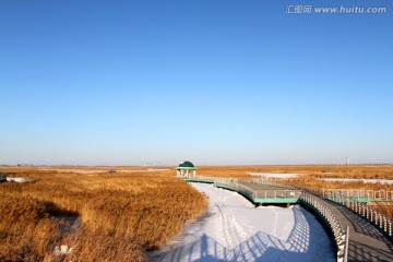 湿地 冬天 白雪 自然 生态