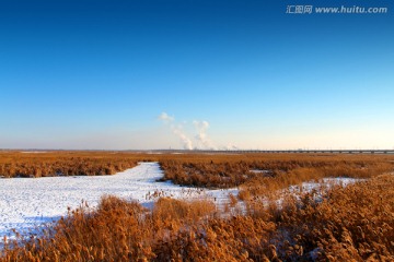 湿地 冬天 白雪 自然 生态
