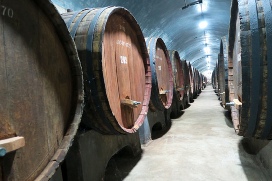 地下葡萄酒酒窖 酒桶