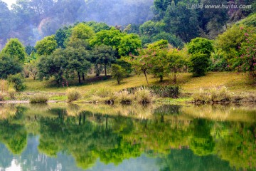 湖岸森林草地