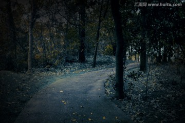 神秘的林中小路