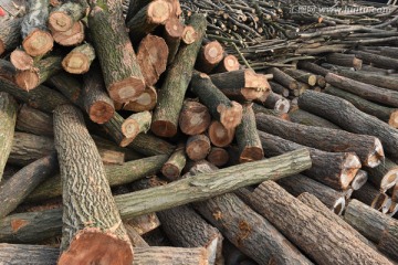 木材 木料堆