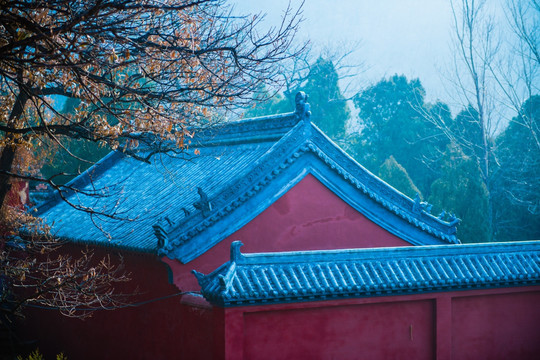 登封大法王寺