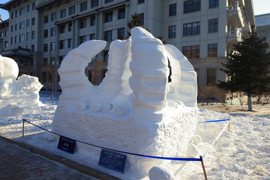 2016 国际大学生雪雕大赛