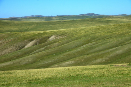 草原上丘陵地貌线条