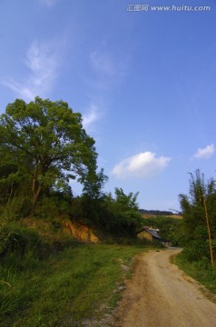 乡村 风景