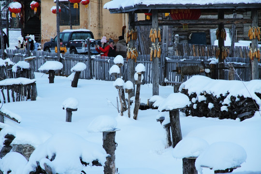 中国雪乡 雪景 爸爸去哪儿图片