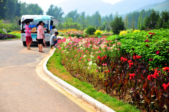 公园风景 旅游景区