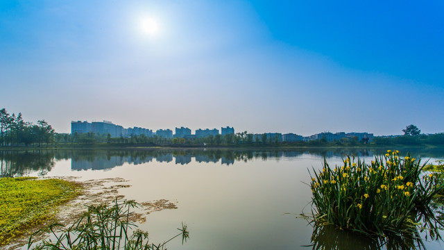 双流湿地公园