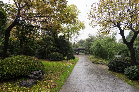 瘦西湖小景