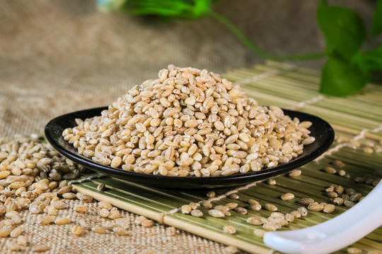 麦仁