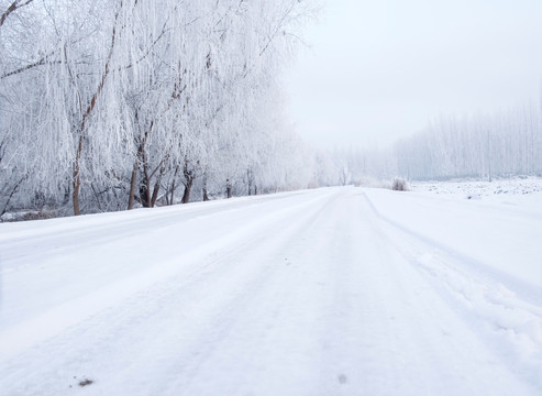 雪路