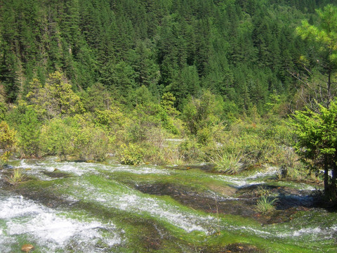 自然风光 山涧溪流