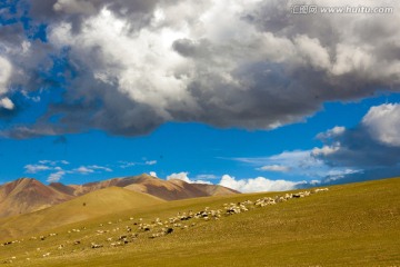 高原风光 西藏草原 高清晰