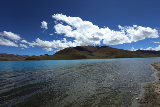 西藏羊卓雍错  羊湖