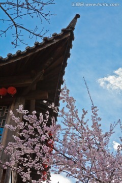 花与屋檐