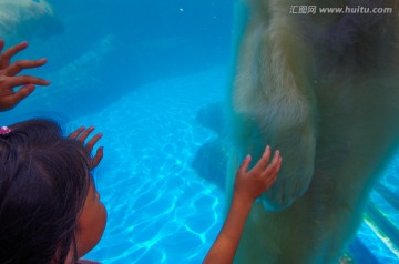 水族馆