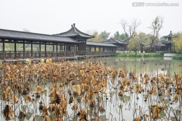 瘦西湖小景 长廊