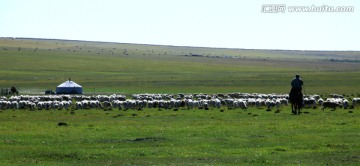 夏季草原牧场骑马牧羊