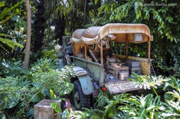 热带雨林里探险的吉普车