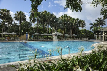 热带室外游泳池