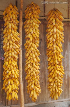 玉米串