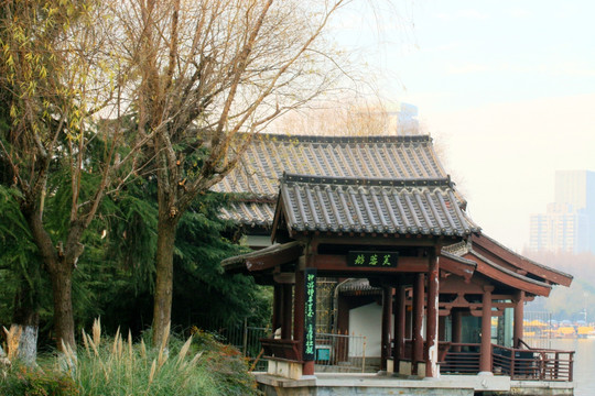 南京玄武湖公园风光