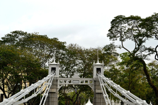 新加坡加文纳桥
