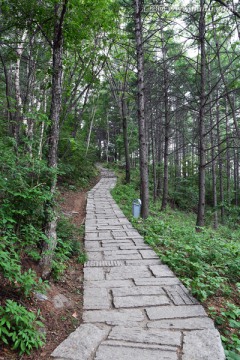 北京百花山风景区