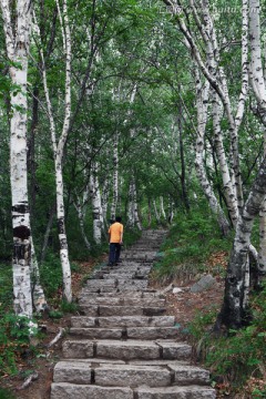 北京百花山风景区