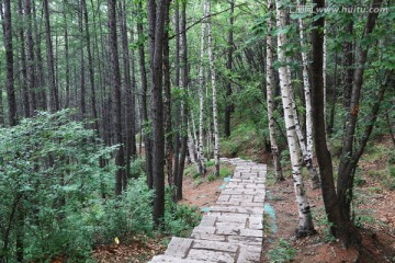 北京百花山风景区