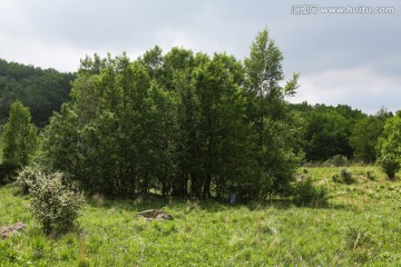 北京百花山风景区