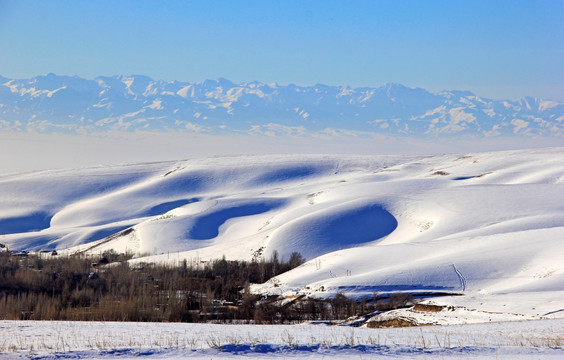 冬景 雪景