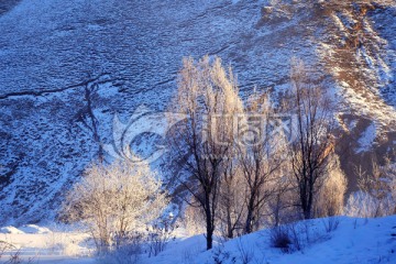 雪原山林雾凇