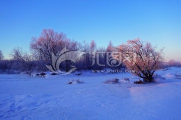 朝阳照耀雪原