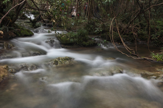 小七孔 水上森林