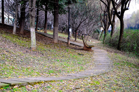 公园石板路 秋景