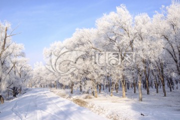 雪景