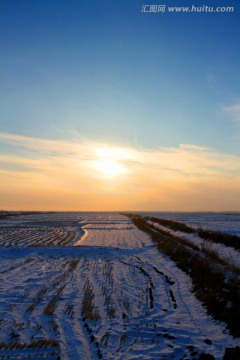 冬天 雪 原野 田野 冷色 冰