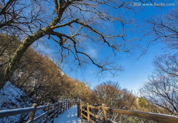 君山风光