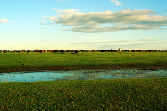 草原湿地