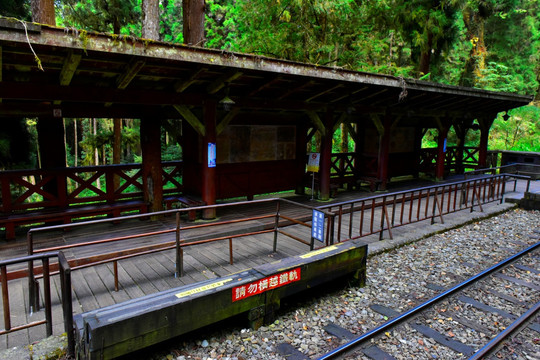 台湾阿里山风光