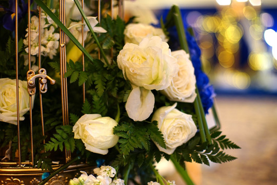 婚礼上的白玫瑰