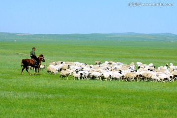 夏季草原骑马牧羊