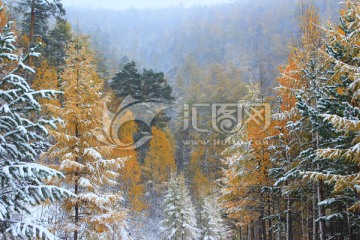 彩色山林雪景