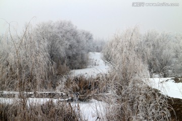 冬日林间小路